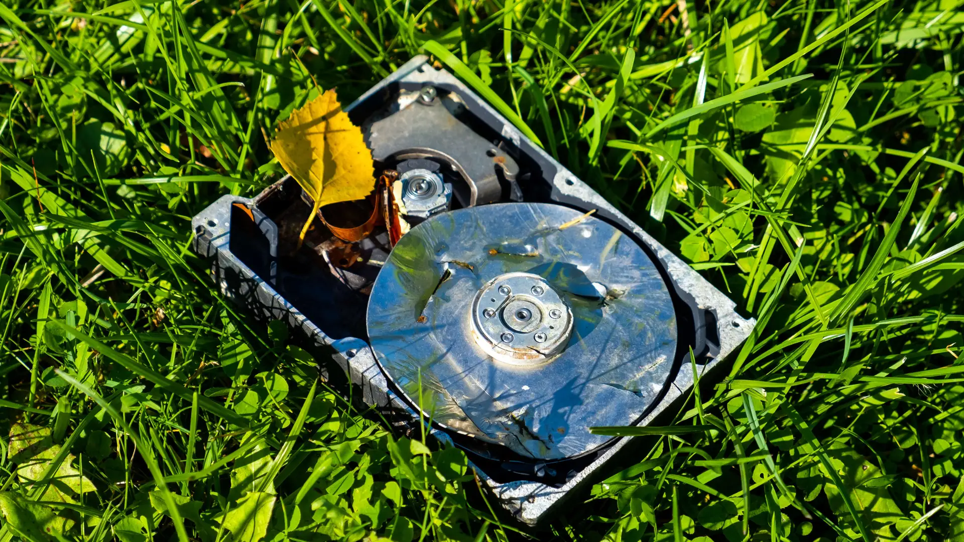 how long does it take electronic waste to decompose?
